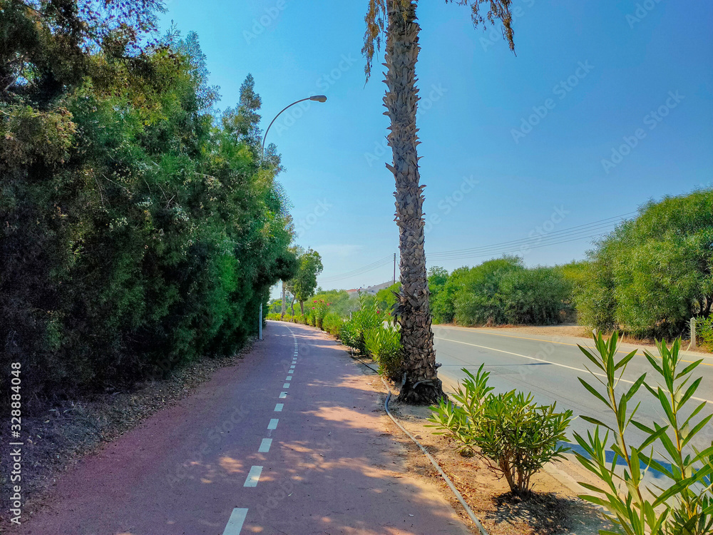 Street with bushed and trees in Ayia Napa