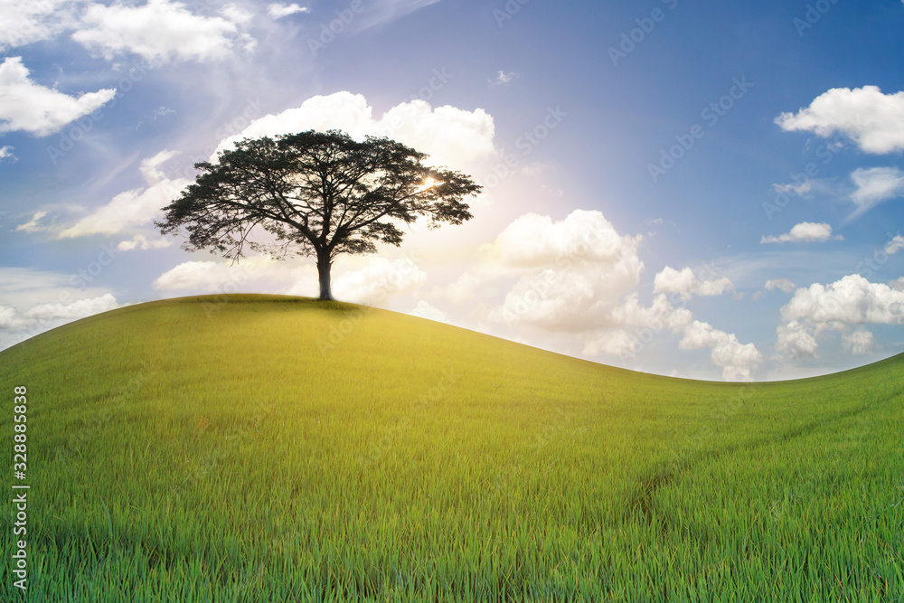 Landscape picture of green grass field and tree with white clouds on blue sky background,Green planet - Earth Landscape picture of green grass field and tree with white clouds on blue sky background,Green planet - Earth