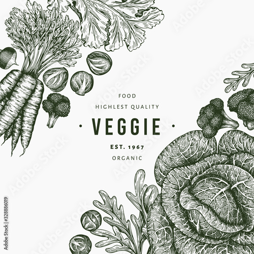 Hand drawn sketch vegetables design. Organic fresh food vector banner template. Retro vegetable background. Engraved style botanical illustrations.