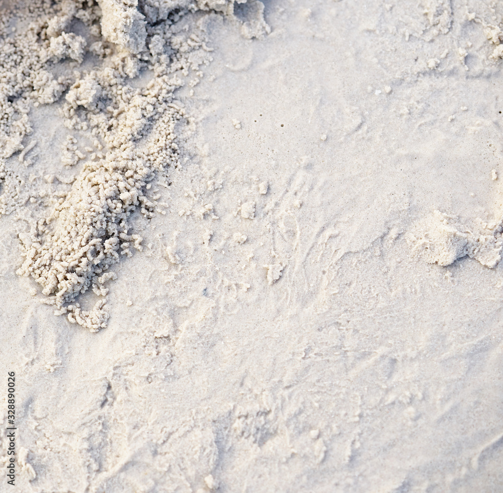 Fototapeta premium sand floor on beach in summer concept with copy space