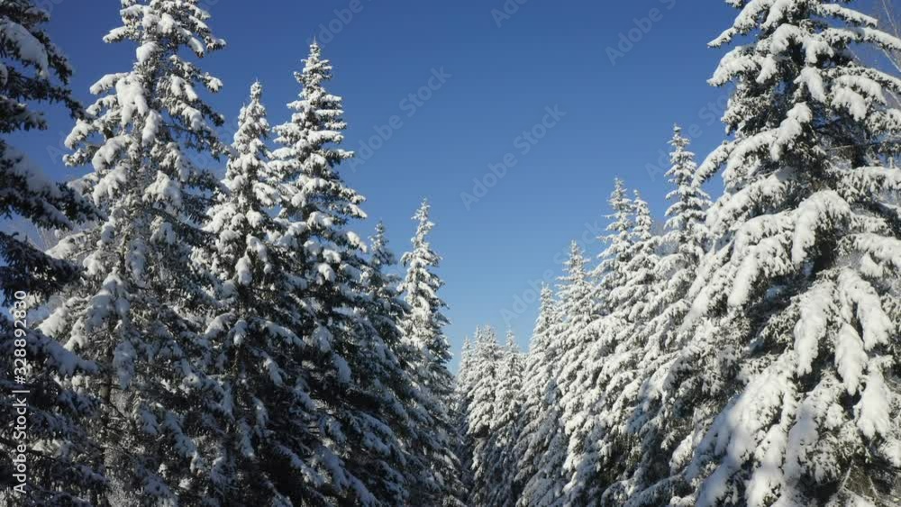 Breathtaking fly over frozen snowy fir and pine trees . Nature concept. Winter time, coziness, enjoying the landscape. No people around, wild nature Breathtaking fly over frozen snowy fir and pine trees . Nature concept. Winter time, coziness, enjoying the landscape. No people around, wild nature