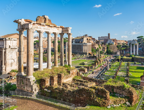 summer day in roman forum in Rome
