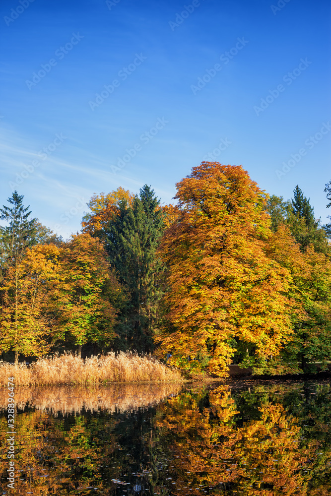 Autumn in Lazienki Park in Warsaw