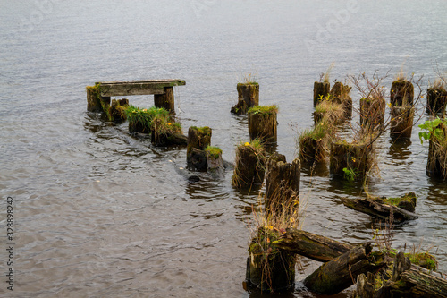 Ancient ruined pier of logs of the town of Kostroma. Boards and logs in the water. photo