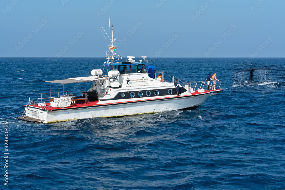 Tourist yacht in the ocean, whale watching boat tour, Sri Lanka. Tourist yacht in the ocean, whale watching boat tour, Sri Lanka.