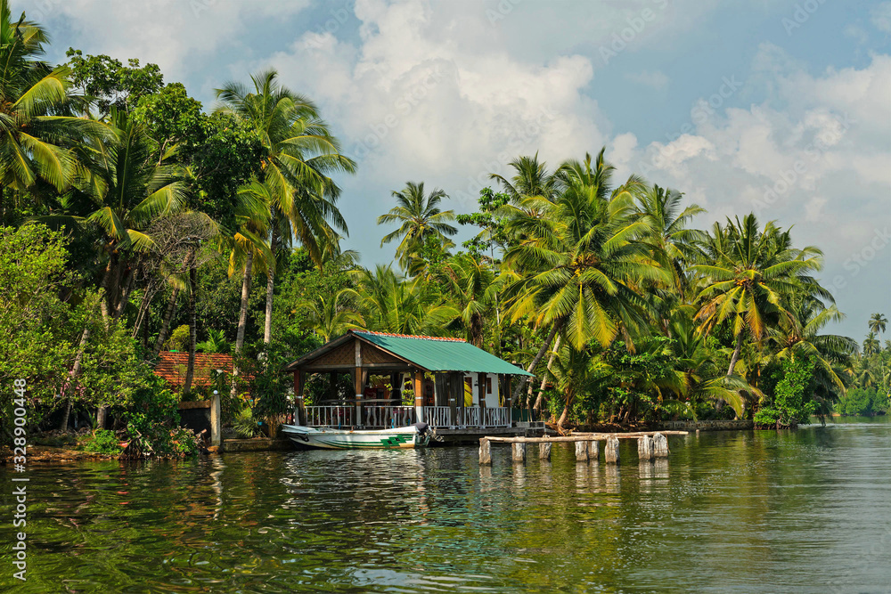 Sri Lanka, green palms on Koggala lake, village landscape view