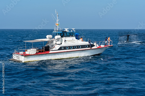 Tourist yacht in the ocean, whale watching boat tour, Sri Lanka.