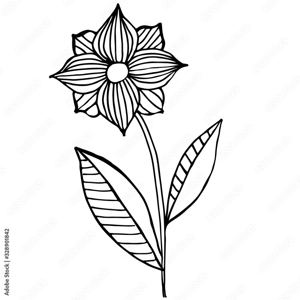 Decorative flower, outline vector hand drawn illustration. For design and decoration. Coloring book Decorative flower, outline vector hand drawn illustration. For design and decoration. Coloring book
