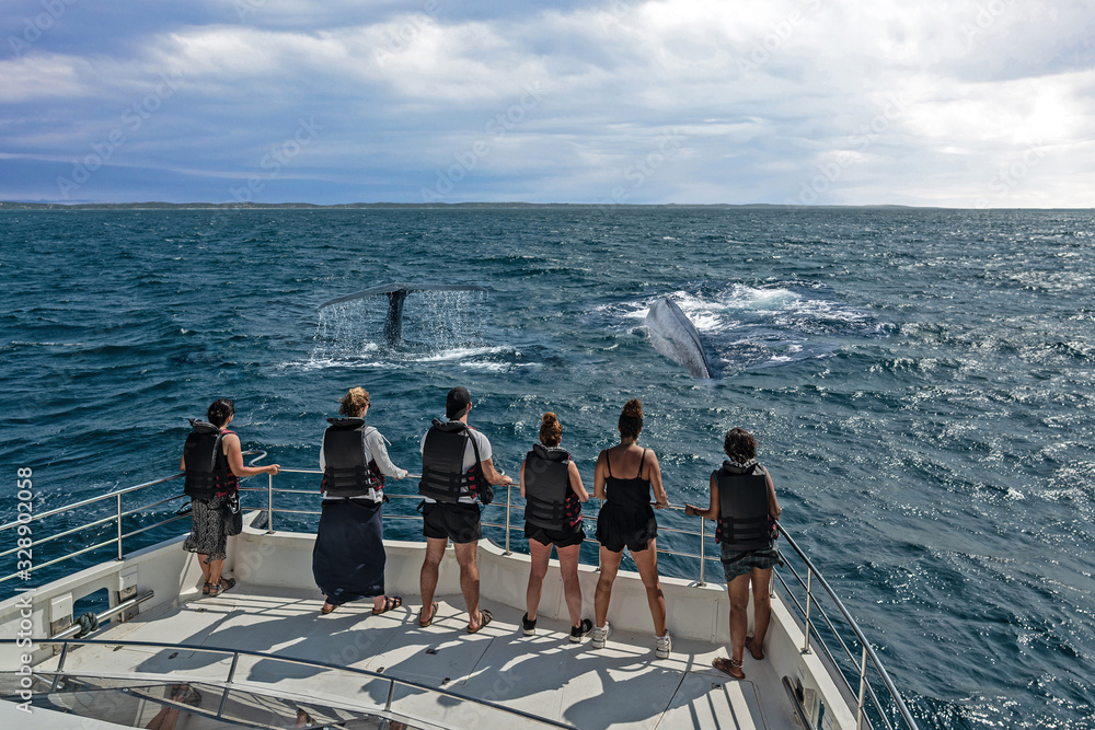 Tourists in life vests on the boat watching whales, Sri Lanka, Mirissa