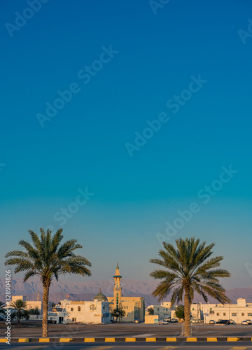 Two palm trees with the mosque in the background at Sur s bay  Oman