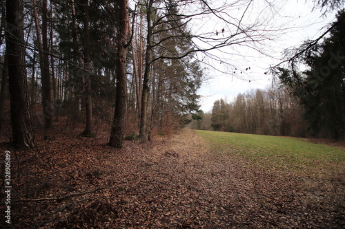 Oberfranken in der Nähe von Obertrubach