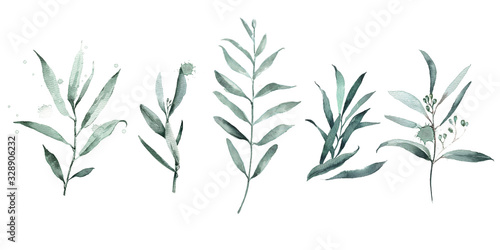 Set of green branch eucalyptus watercolor drops. Abstract watercolor for wedding design invitations.