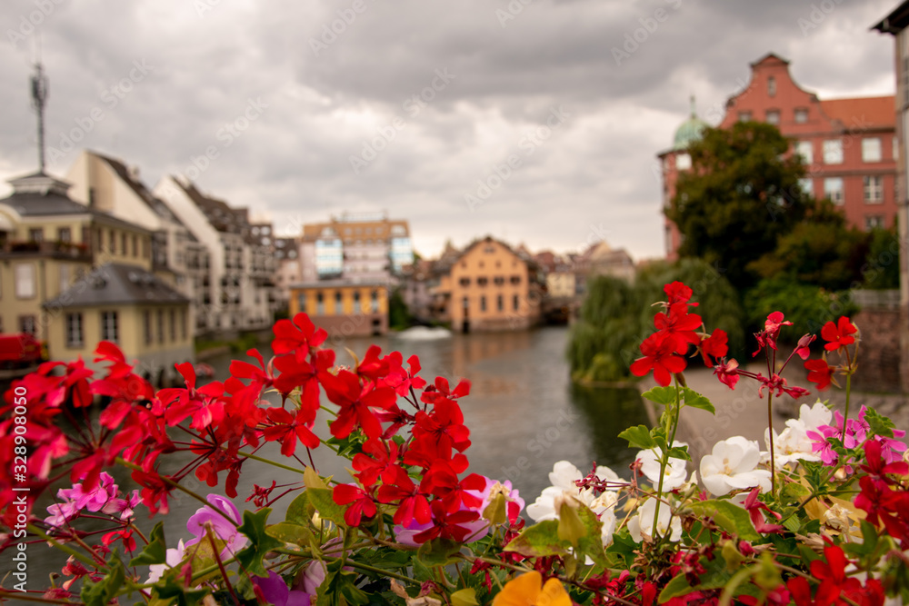 Blumen in Strasbourg