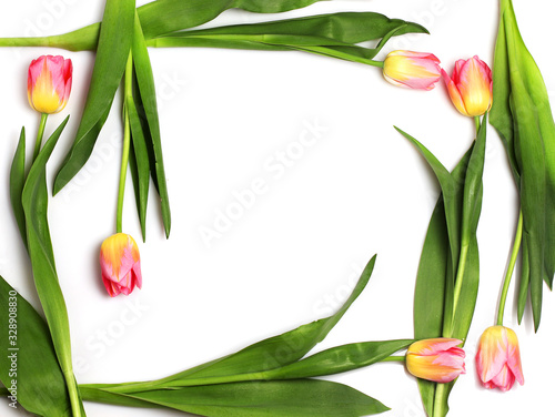 Fototapeta Naklejka Na Ścianę i Meble -  Pink tulips lie on a white isolated background. Tulips form a frame for the text. Mother's day, anniversary, March 8 international women's day, Valentines day. Banner, greeting card, space for text.