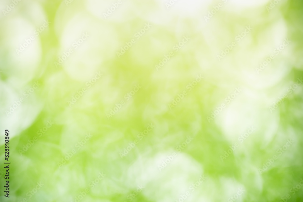 Abstract blurred out of focus and blurred green leaf background under sunlight with bokeh and copy space using as background natural plants landscape, ecology wallpaper concept. Abstract blurred out of focus and blurred green leaf background under sunlight with bokeh and copy space using as background natural plants landscape, ecology wallpaper concept.
