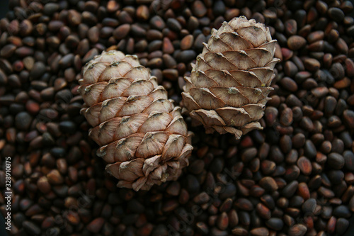 Pine nuts in shells as a background and two whole cedar cones