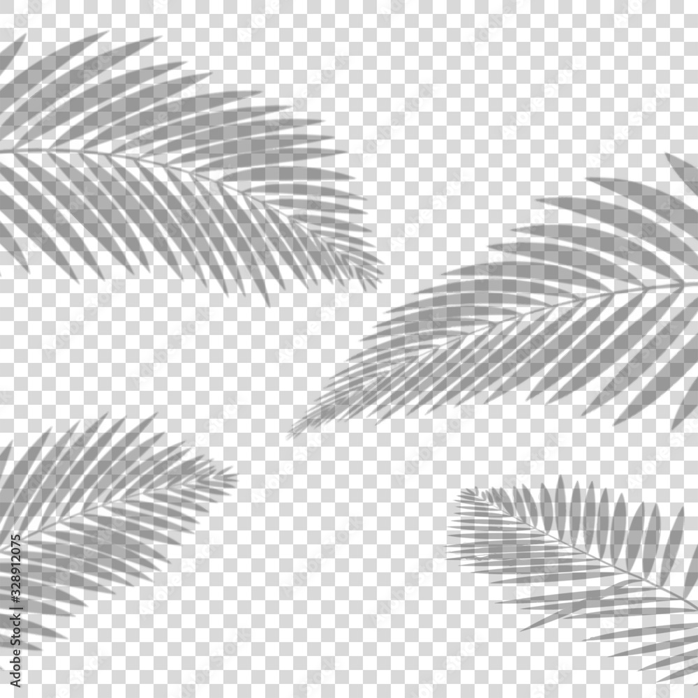 shadow effect palm leaf transparent background vector