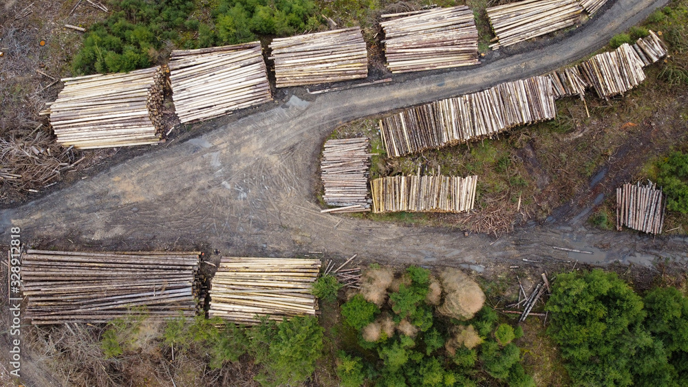Holzsammelstelle Luftbild nach Baumfällung Sturmschäden