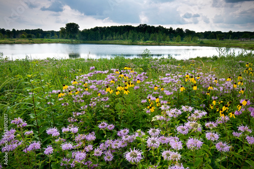 Storm clouds move along the horizon over summer wildflowers and a small pond.