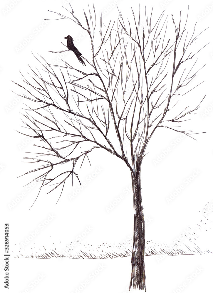 Fototapeta premium Bird and tree autumn, graphic black and white