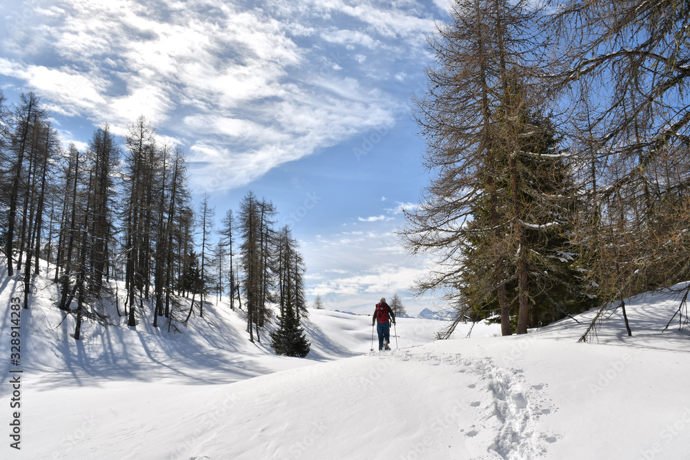 Snowshoe hiker at Pillaz hill, near Chamois in the Aosta valley Snowshoe hiker at Pillaz hill, near Chamois in the Aosta valley