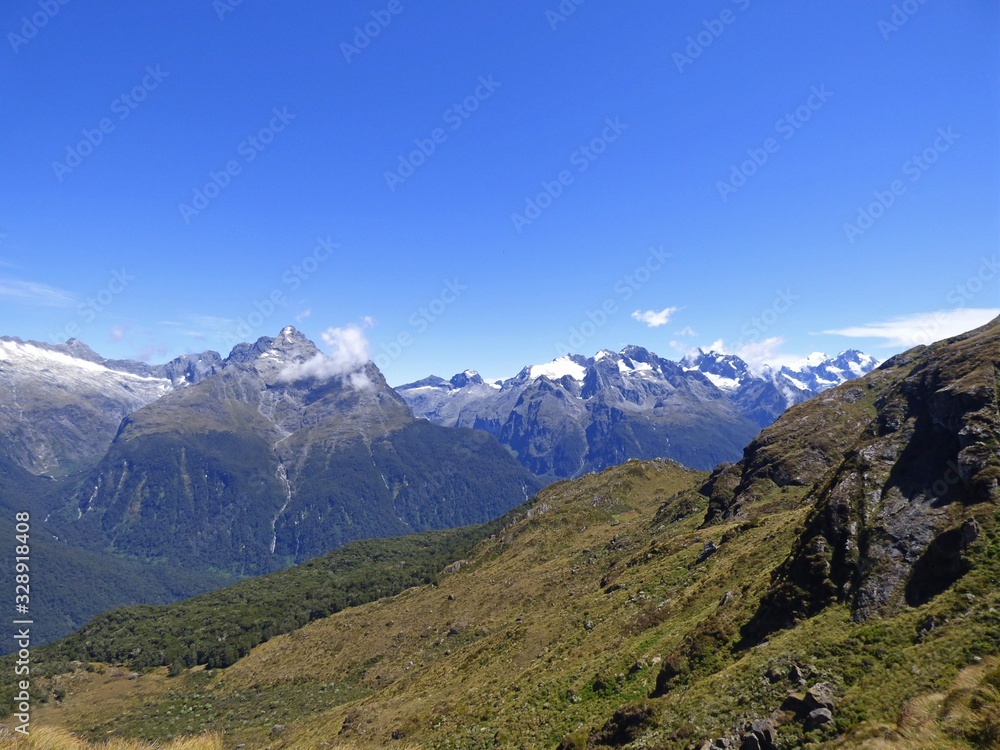 Routebourn track, Fiordland national park, New Zealand Routebourn track, Fiordland national park, New Zealand