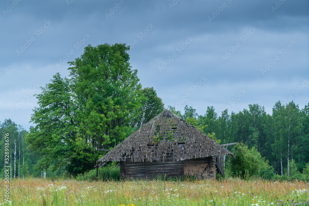 Obraz premium Abandoned house in the forest. Nature and ruins facilities architecture environment concept. Broken building in the middle of the trees. Wooden dilapidated wall, Estonia, Europe.