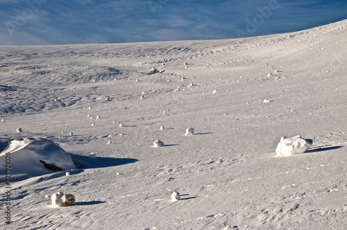 paesaggio innevato