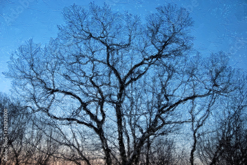 Impressionistic Style Artwork of the Silhouetted Limbs of a Winter Tree