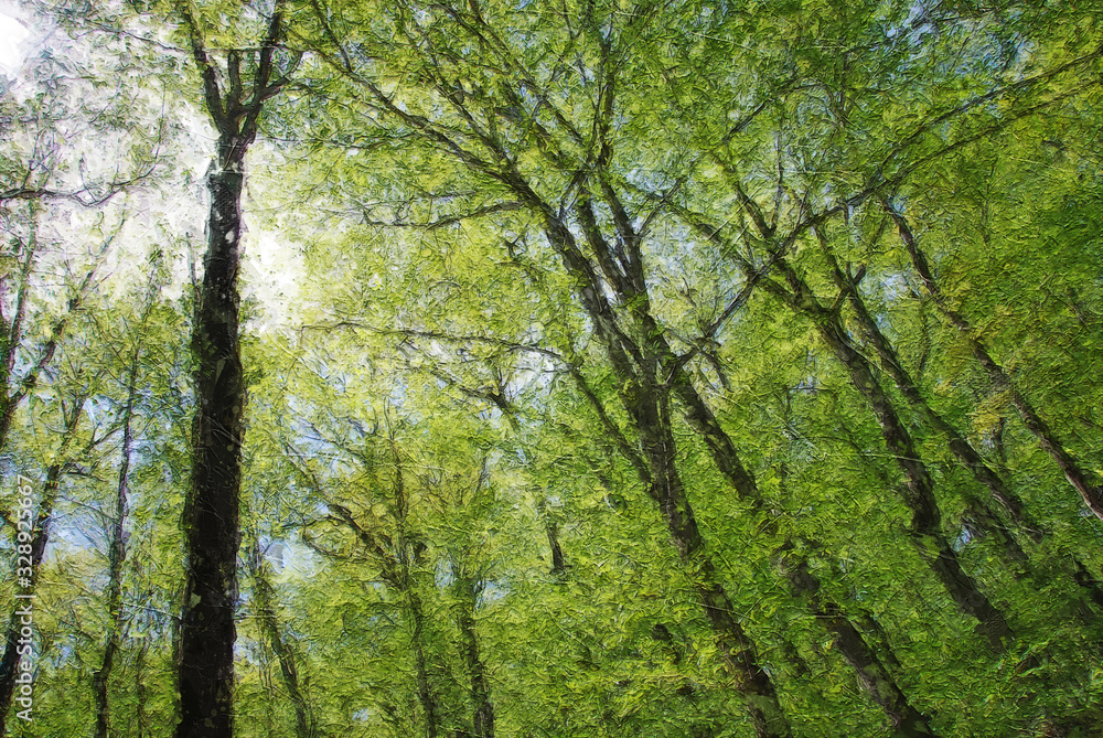 Impressionistic Style Artwork of Tall Springtime Trees Reaching for the Sky Impressionistic Style Artwork of Tall Springtime Trees Reaching for the Sky