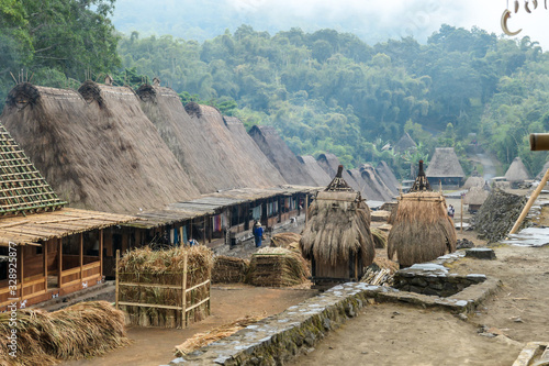 Inside view on the traditional Bena village in Bajawa, Flores, Indonesia. There are many small houses around, made of natural parts like wood and straw. History and tradition mingling with presence. photo