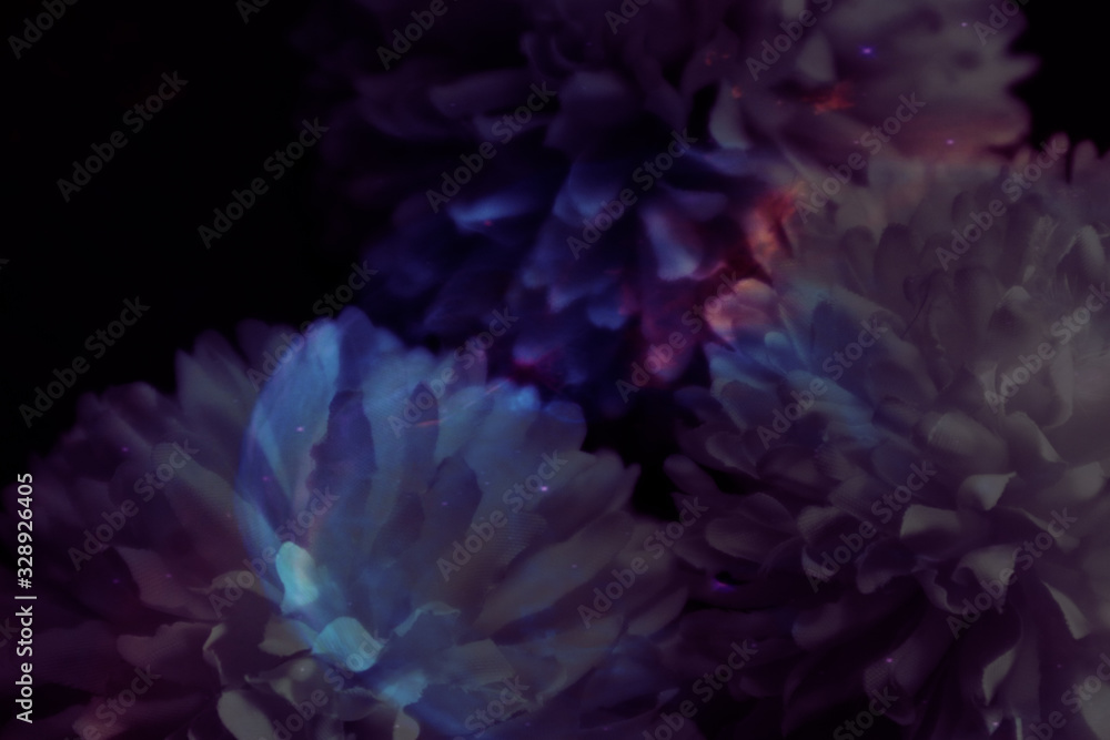 Beautiful abstract color blue pink and purple flowers on black background and blue graphic white flower frame and pink leaves texture, purple background, pink flower, colorful flowers graphics banner 