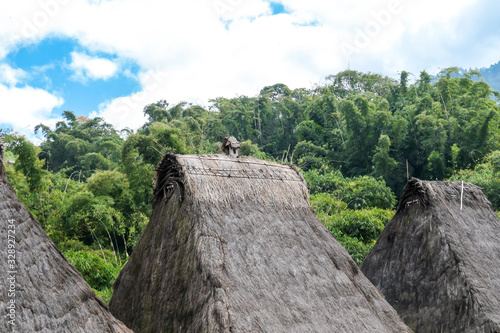 A close up on a straw rooftops of the traditional Bena village in Bajawa, Flores, Indonesia. There is a dense forest in the back. Blue sky prevails. History and tradition mingling with presence. photo