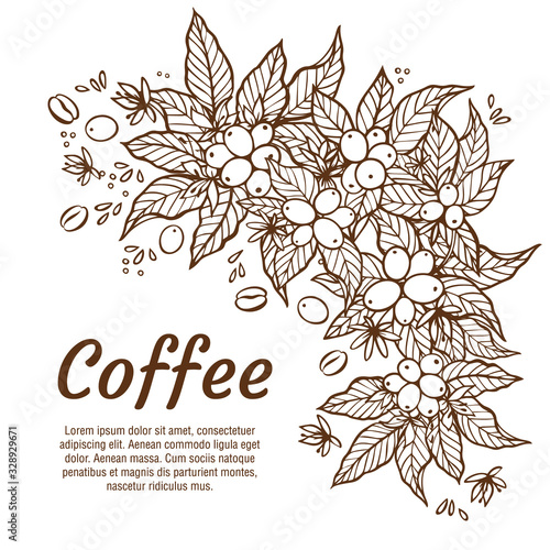 Vector banner template with branches of coffee tree with flowers, leaves, berries and beans. Border coffee plant