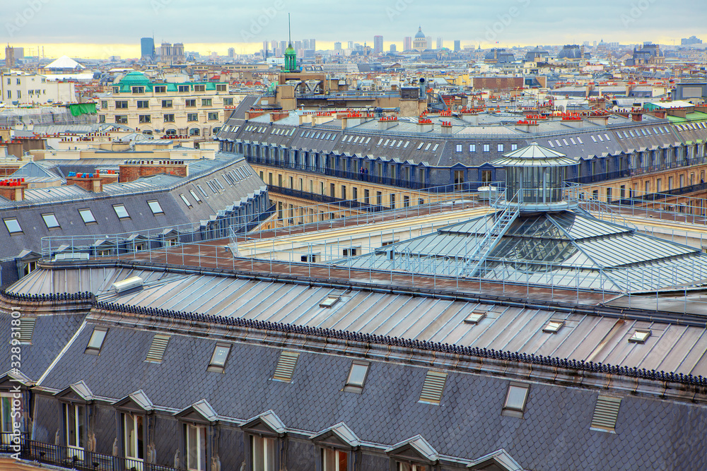 aerial seen to Parisian attics and roofs