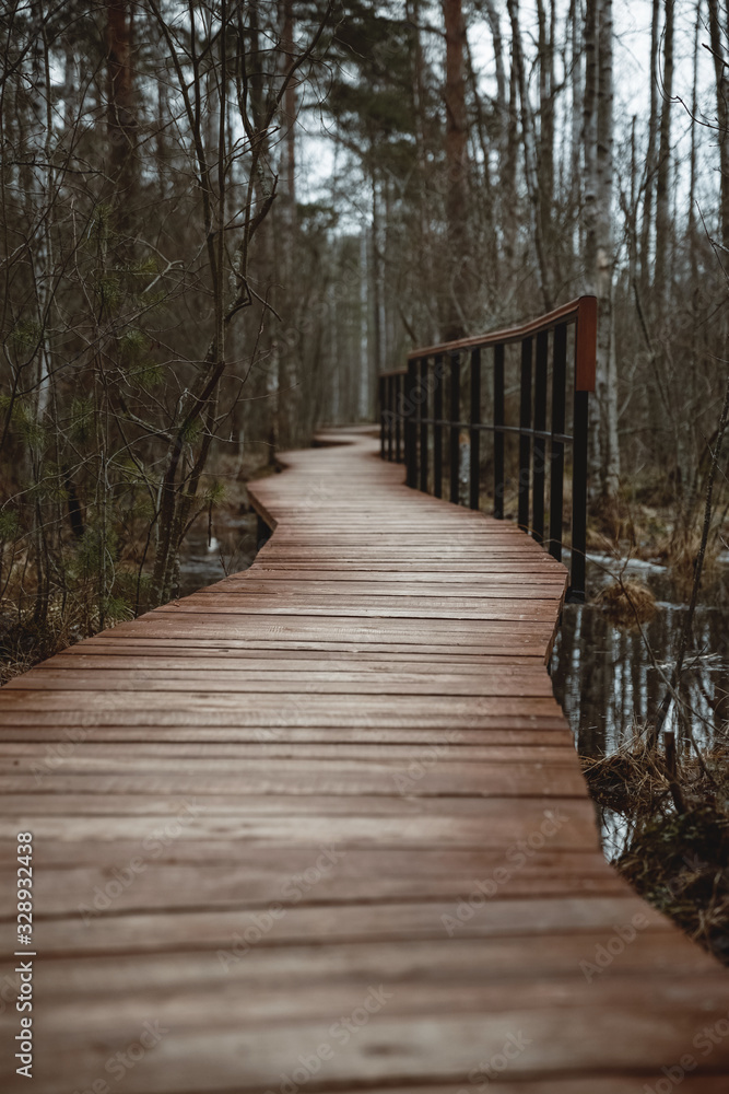 wooden walkway in the forest swamp. Well maintained wild Park