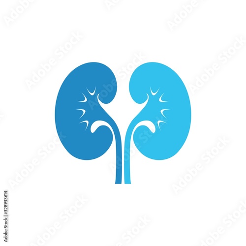 kidneys icon isolated on white, vector Illustration