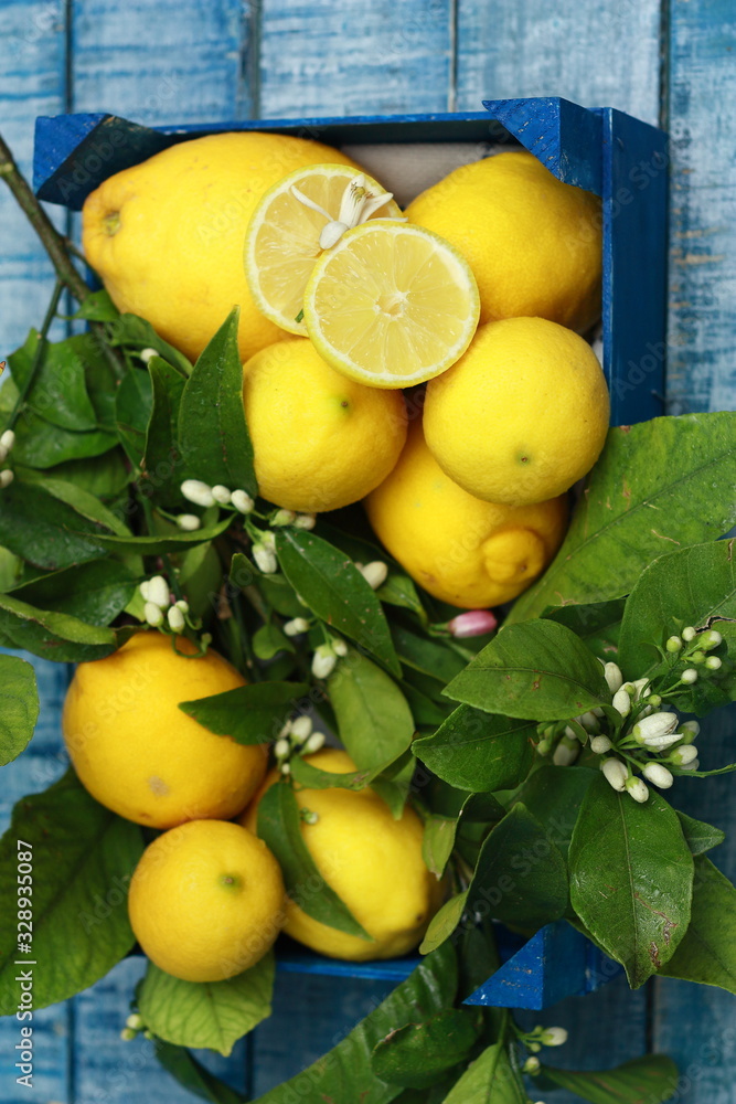 limones con sus hojas recién cogidos del limonero, en caja de fruta azul