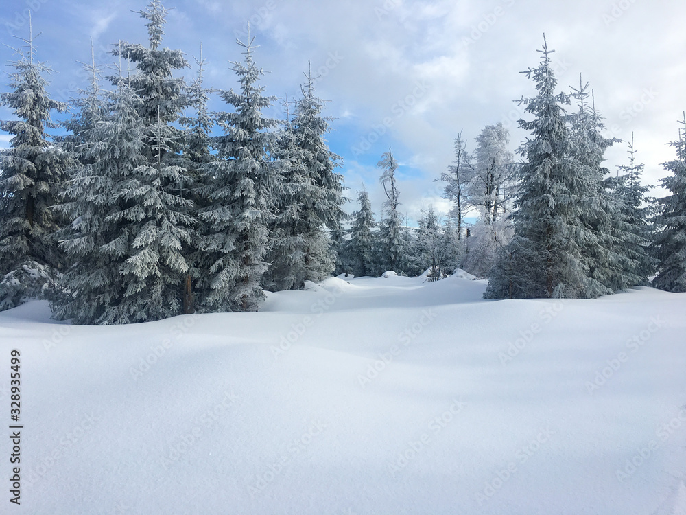 Naklejka premium road in winter forest
