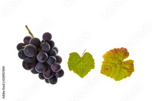 bunch of pinot noir grapes and leaves on white background with copy space above photo