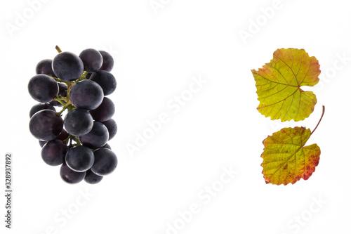 bunch of cabernet sauvignon grapes on white background with copy space in middle