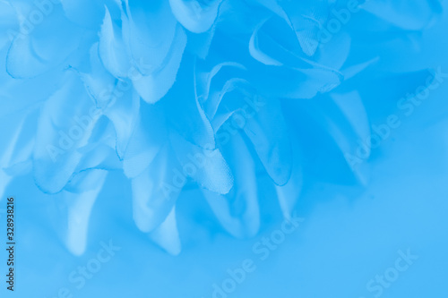 Beautiful abstract color white and blue flowers on white background and white graphic flower frame and blue leaves texture, blue background, colorful graphics banner happy valentine day