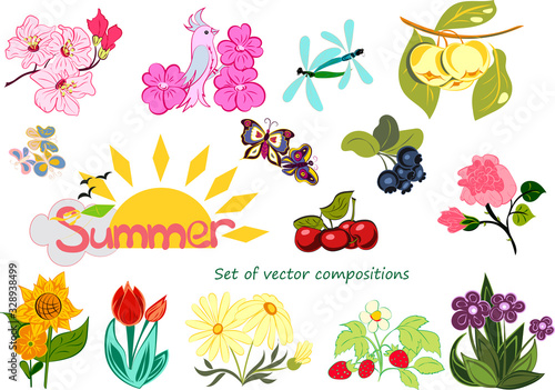 Set of vector illustrations on a summer theme. Fruits, berries, flowers, butterflies and dragonflies. The compositions are isolated on a white background.