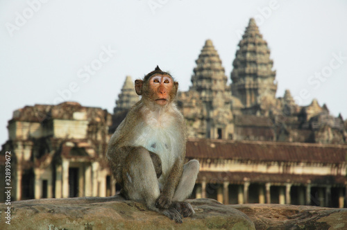 Angkor Wat main temple with monkey