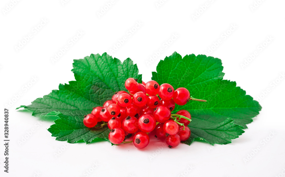 Red currant berries with leaf isolated on white background. Red currant berries with leaf isolated on white background.