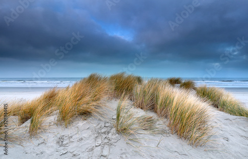 Fototapeta Naklejka Na Ścianę i Meble -  sand dune on windy coast