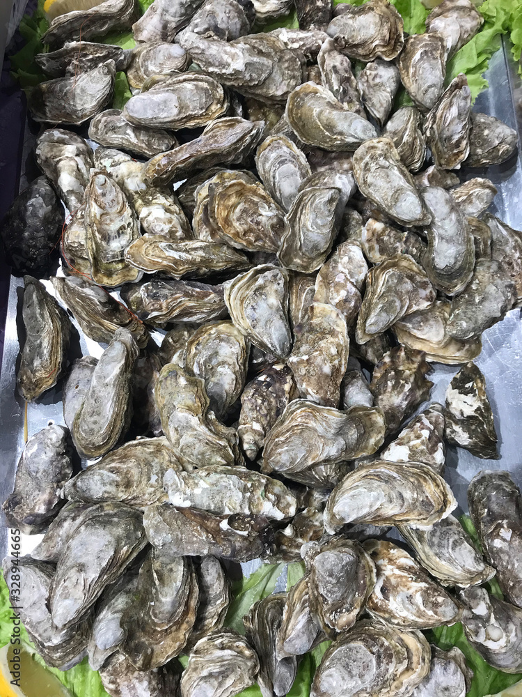 Oysters on the table - top view