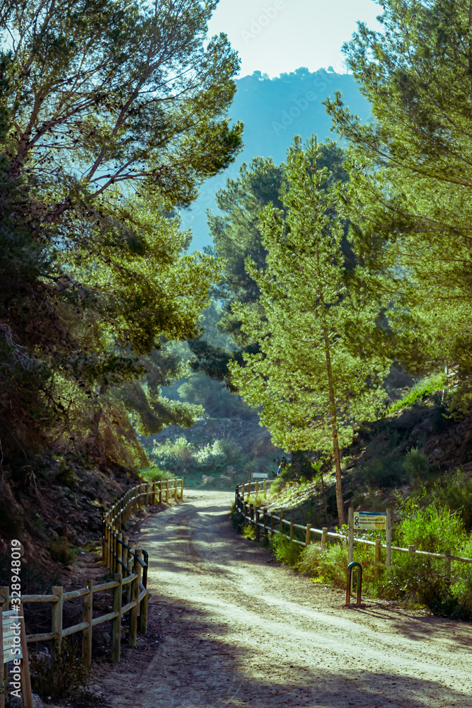 Dawn in the Lost Valley, Sierra de Carrascoy. Murcia, Spain Dawn in the Lost Valley, Sierra de Carrascoy. Murcia, Spain