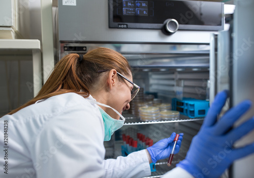 Quadro su tela Biologists taking out samples from incubator