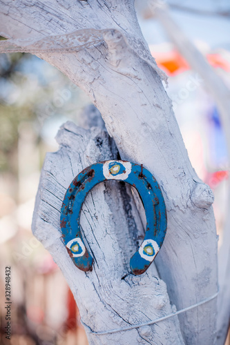 Horseshoe hung on a white tree photo